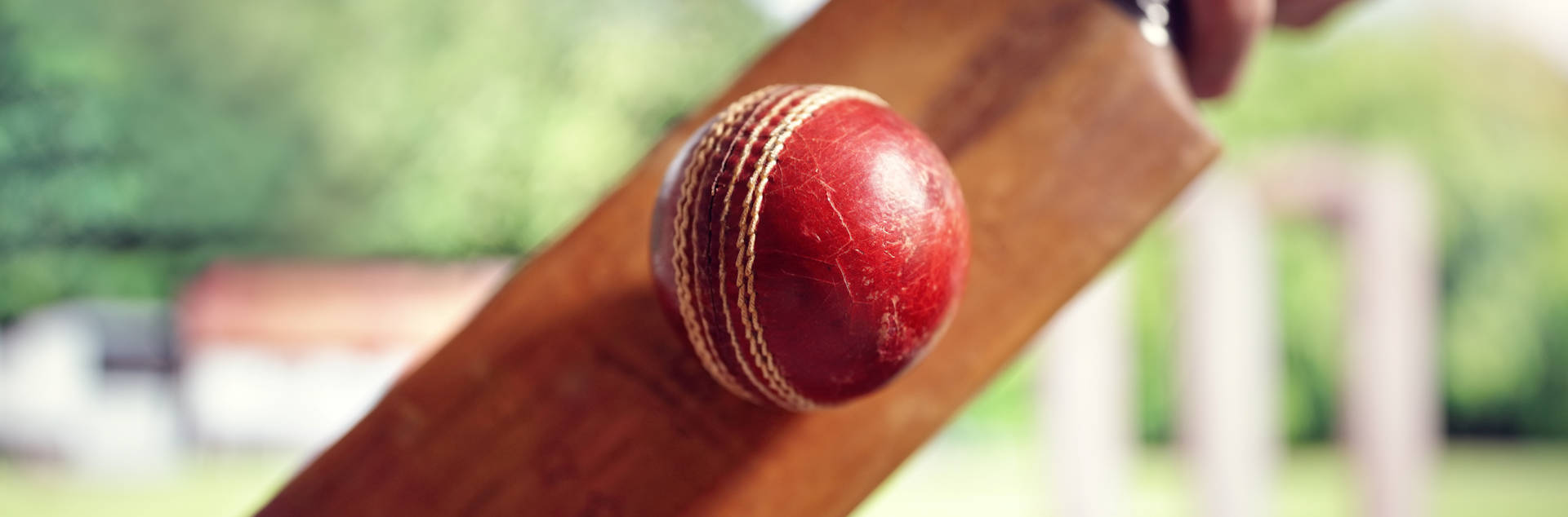 Winter & Co: Cricket Club Insurance